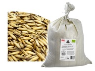 Staropoľský Golden OATS Medicinal Organic 5 KG