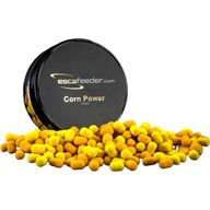 Nástraha Dumbells Esca Feeder Method Wafters 6mm Corn Power Mini 50ml