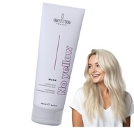 Maska Kondicionér pre blond farbené vlasy Eliminujúci žltý odtieň 250 ml