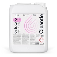 Cleantle Citrus Foam2 5l - alkalická aktívna pena