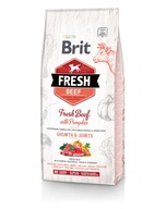 BRIT FRESH PUPPY LARGE HOVÄDZIE 12 KG