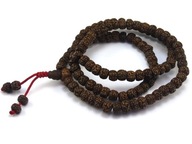 MALA budhistické RUDRAKSHA POLISHED semená [S063]