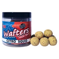 BANDIT CARP Wafters Citro Squid 20mm BB