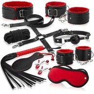 HANDCuffs Whip Gag CLAMPS HARNESS GOLIER SET