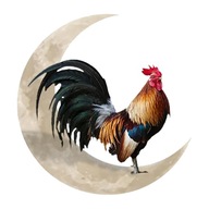 Rooster Moon Metal Wall Art Umelecké dielo Socha pre