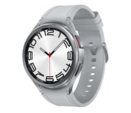 Samsung Galaxy Watch 6 Classic BT 47 mm R960 Silver