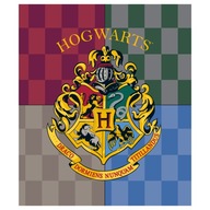 HARRY POTTER CORAL BABY DEKA MIKROVLÁKNO HOGWARTS 120x150 cm