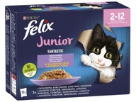 FELIX Junior Mix of Flavors krmivo pre mačky (12 x 85 g)