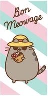 PUSHEEN mačací uterák 70/140