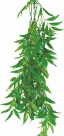 DEKORÁCIA RASTLINNÉHO TERÁRIA FIKUS LONGIFOLIA 70CM