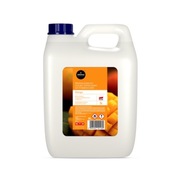 Aroma Professional 5l mangový vôňový olej