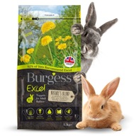 Potraviny pre dospelých králikov Burges Excel Nature's zmes 1,5 kg