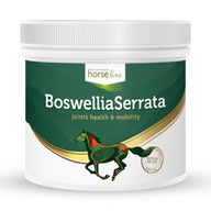 Boswellia Serrata 500 g + šnúrka na krk ZDARMA