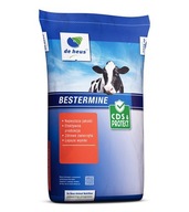 BESTERMINE CAROTENE Premix De Heus 25kg