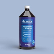 VOLANTOR Probiotic + BYLINKY pre holuby 1L - imunita