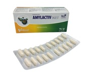 Vetfood Amylactiv Digest 20 kapsúl 1 blister pre psov, mačky na trávenie