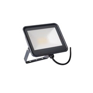 LED reflektor IQ-LED FL-20W-NW