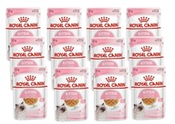 Royal Canin Kitten Instinktive v želé 12x 85g mokré jedlo pre mačiatka