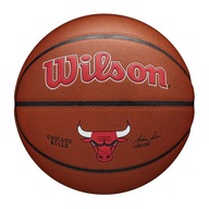 Basketbalová aliancia Wilson NBA Team Alliance