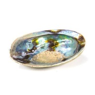 Stojan Paua Abalone Shell Nový Zéland