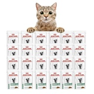 Royal Canin Diabetic vlhké krmivo pre mačky 85g