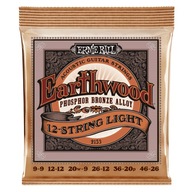 Ernie Ball 12-strunový Earthwood Phosphor Bronze 9-46 (2153)