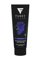 Toner na vlasy Funky Color No.17 Ametyst 100 ml