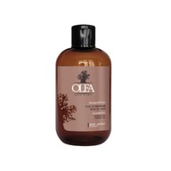 OLEA ŠAMPÓN S BAOBABOM A ĽANOVÝM OLEJOM 250ML