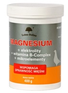 Leśna Dolina MAGNESIUM 400G elektrolyty, horčík, stopové prvky, vitamín B