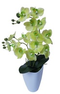 Umelá orchidea 45-50cm SILIKÓNOVÝ Kvet Zelená