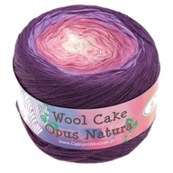 Priadza Opus Natura Wool Cake 50008 ombre vlna