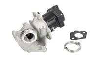 Hella 6NU 010 171-101 EGR ventil