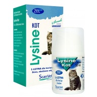 Lysine Cat 50ml Imunity Gel L-lysine ScanVet