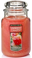 Yankee Candle Sun Drenched Marhuľová ruža 623g