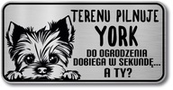 Pozor znamenie York Dog