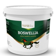 Boswellia Serrata 2 kg + šnúrka na krk ZDARMA