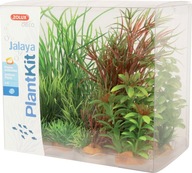 Rastlinná dekorácia PLANTKIT JALAYA model 4