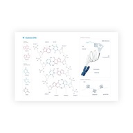 Plagát, diagram štruktúry DNA, formát A2!