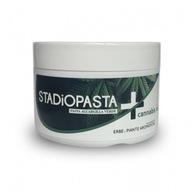 STADIOPASTA PLUS SPORTRECORD MASŤ NA BOLESŤ 250ML