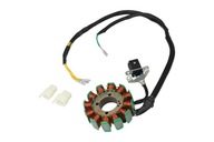 Stator magneto stator 12 cievok ATV Quad 250 ST-9E