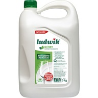 LUDWIK MINT 5KG,