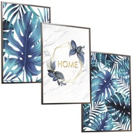 SET 50x40 RÁMOVÝ PLAGÁT OBRAZ MONSTERA NATURA