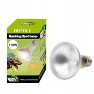 LUCKY HERP DENNÉ KÚRENIE ŽIAROVKA Terárium 100W