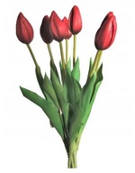 Kytica TULIPS gumových tulipánov ČERVENÁ 40cm 7 ks.