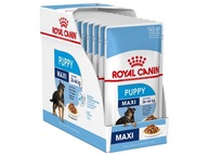 ROYAL CANIN SHN Maxi Puppy in Gravy 10X140G