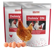 Dolmix DN Dolfos vitamínová a minerálna zmes pre nosnice 5kg