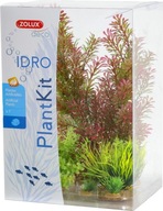 Zolux Dekorácia rastlín PLANTKIT IDRO model 1