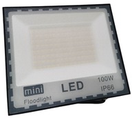 HALOGÉNOVÉ LED FLOODLIGHT 100W FLOODLIGHT IP66