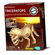 Vykopanie krabice Triceratops Russ