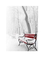 Lavička Red Snow Reprodukcia na stenu 60x80cm